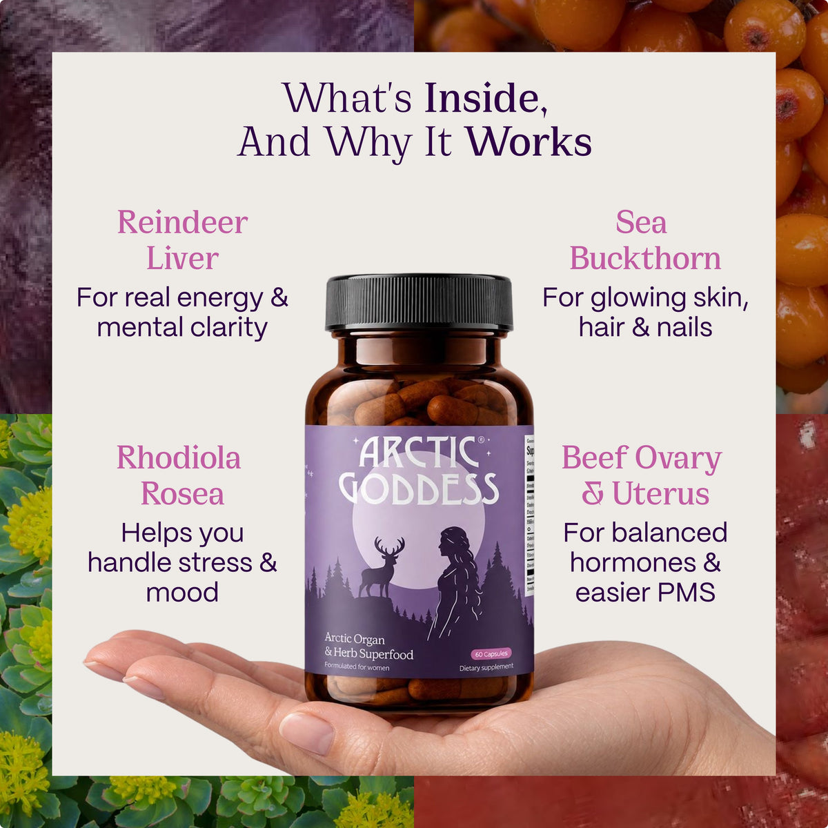 Arctic Organ & Herb Superfood for Mature Women